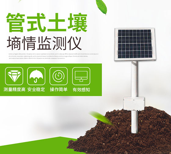 什么是管式土壤墑情監測儀？