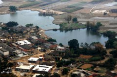 土壤水分對(duì)葉片特性有什么影響?