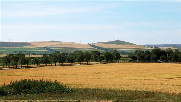 土壤墑情監(jiān)測站的分類和特點(diǎn)分析 土壤墑情監(jiān)測站的分類和特點(diǎn)分析