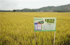 土壤墑情監(jiān)測(cè)系統(tǒng)的應(yīng)用效果怎么樣？