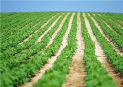 土壤墑情監(jiān)測站有哪些價(jià)值體現(xiàn)？