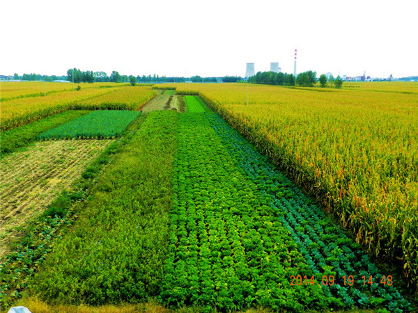 1564647430118169.jpg Cg-4k1SYJUGIfG2mAAhfk4AxZiAAADqJAOouuUACF-r611.jpg