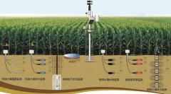 土壤墑情怎么讀，在實際農業中應用怎樣？
