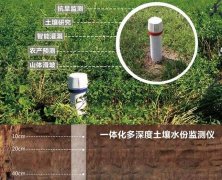 土壤墑情監測系統對農業的發展有哪些優勢？