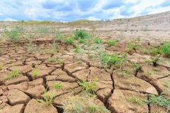 安裝土壤墑情自動(dòng)監(jiān)測(cè)系統(tǒng)有哪些好處？