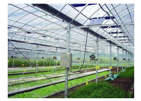 土壤墑情監測系統可以指導溫室灌溉嗎 土壤墑情監測系統可以指導溫室灌溉嗎