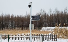 土壤墑情監測系統進一步分析濕度與深度的相互關系