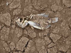 安裝土壤墑情自動監(jiān)測系統(tǒng)的意義在哪里?