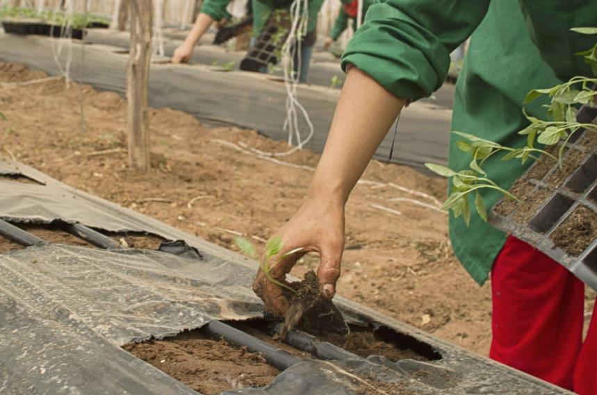 1597049964712043.jpg 360截圖20200810165905523.jpg