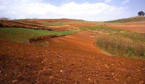 取樣方式不同對土壤墑情監測精度有影響嗎? 取樣方式不同對土壤墑情監測精度有影響嗎?