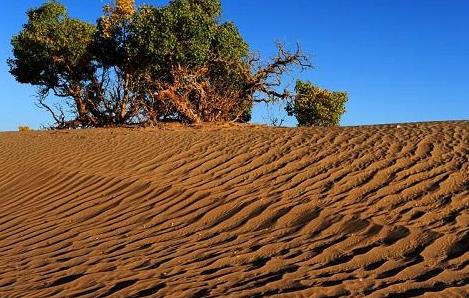 基于物聯網的區域農田土壤墑情監測系統 基于物聯網的區域農田土壤墑情監測系統
