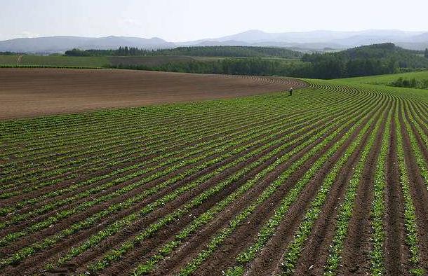 神經網絡法能用于土壤墑情預測嗎? 神經網絡法能用于土壤墑情預測嗎?