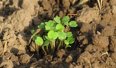 有了物聯(lián)網(wǎng),土壤墑情監(jiān)測系統(tǒng)才有了“生命”! 有了物聯(lián)網(wǎng),土壤墑情監(jiān)測系統(tǒng)才有了“生命”!