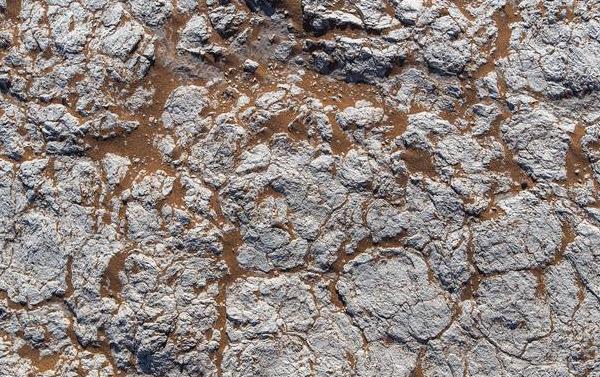 比色法快速測定土壤含水量 比色法快速測定土壤含水量